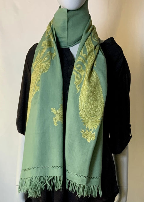 Hand Embroidered Aari with Large Paisley